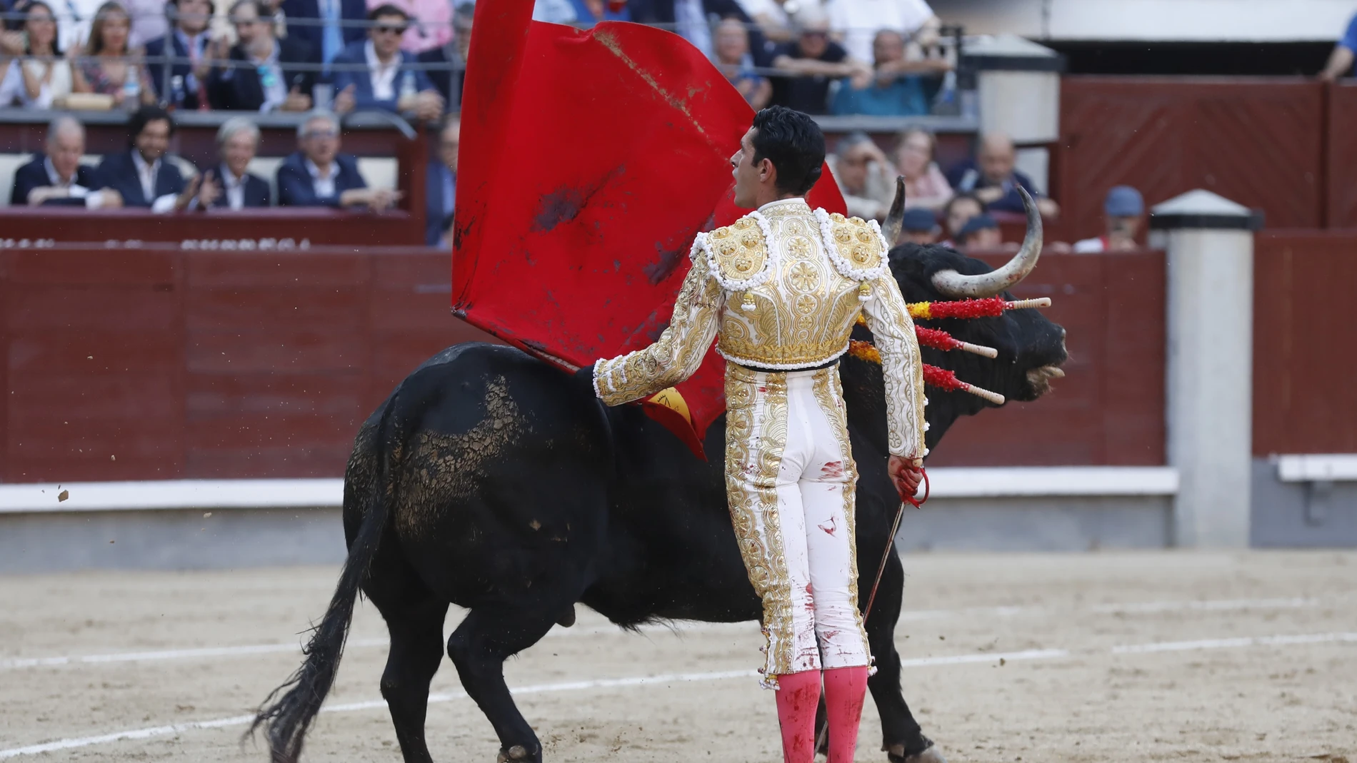 Toros Feria de San Isidro. Morante de la Puebla, Alejandro Talavante y Pablo Aguado. © Jesús G. Feria.