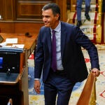 Aprobación de la ley de amnistía en el Congreso de los Diputados