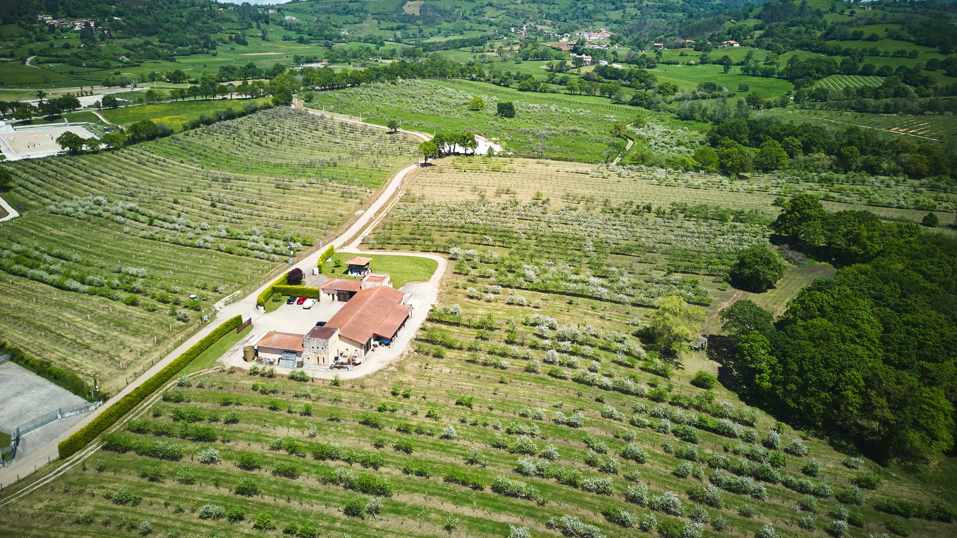 La finca El Rebollar de "Valverán 20 manzanas"