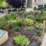 Parterre San Juan de Sahagun en la capital salmantina