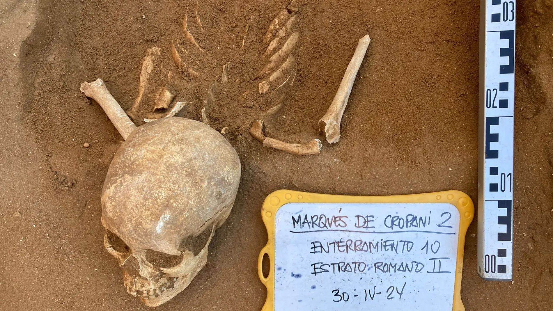 Parte de los restos encontrados en la excavación arqueológica que se realiza en el solar de la calle Marqués de Cropani