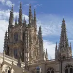 Esta es la palabra que usan en Burgos y que en el resto de España no se entiende