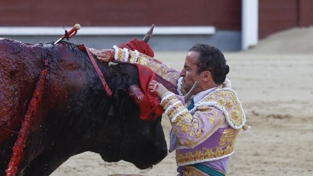 El torero Damián Castaño sufre una cogida durante la corrida de toros de la Feria de San Isidro, con toros de la ganadería de José Escolar para los diestros Fernando Robleño, Gómez del Pilar y Damián Castaño, este martes en la Plaza de Toros de Las Ventas, en Madrid. 