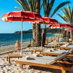 Seahorse Ibiza.