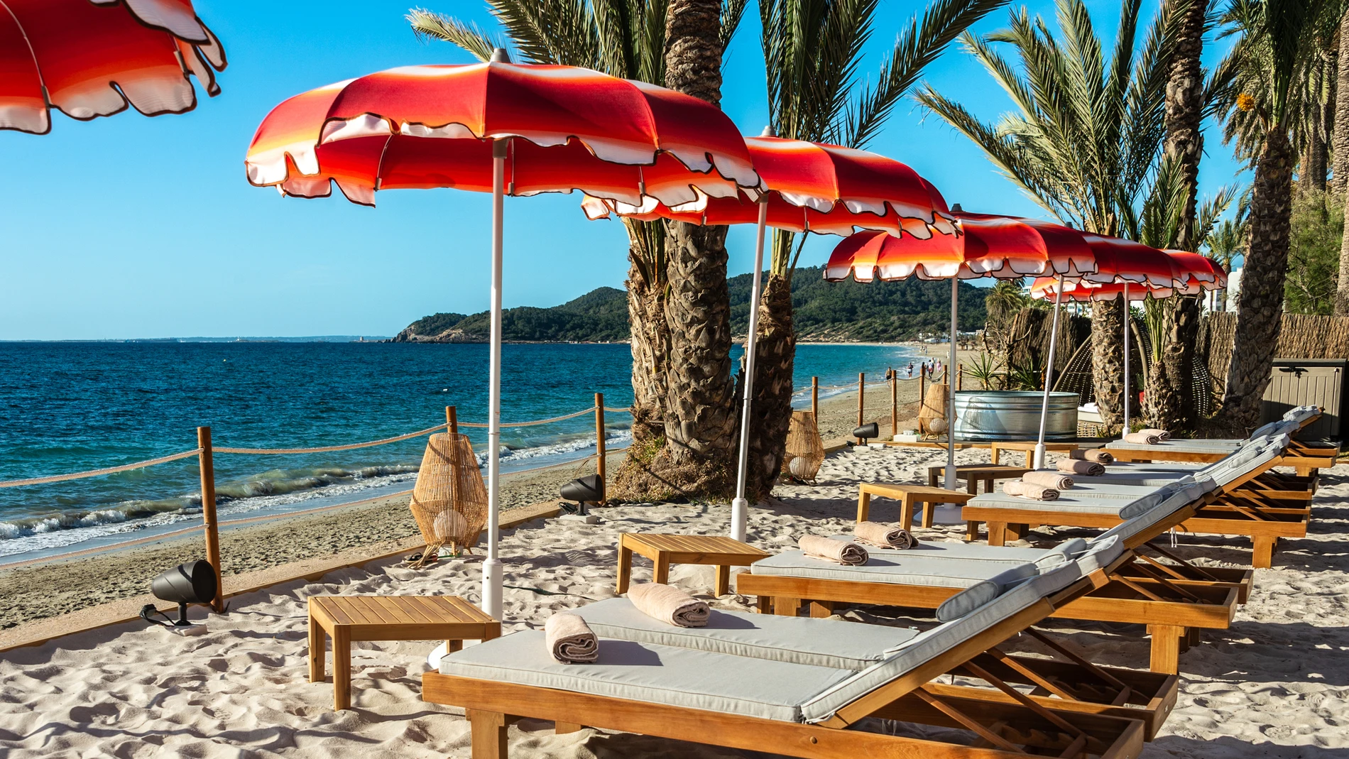 Seahorse Ibiza.