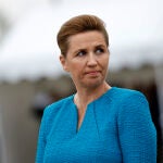 Denmark Prime Minister Assault