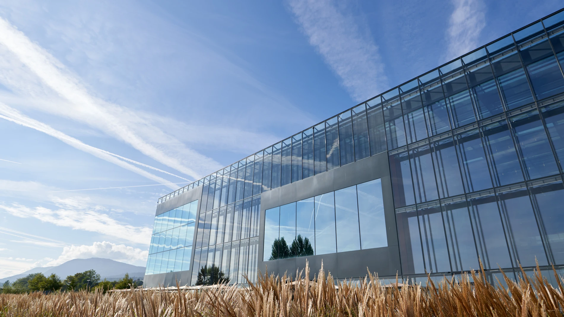 Centro de Investigación de PMI