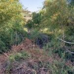 Campos abandonados llenos de maleza son combustible en caso de incendio