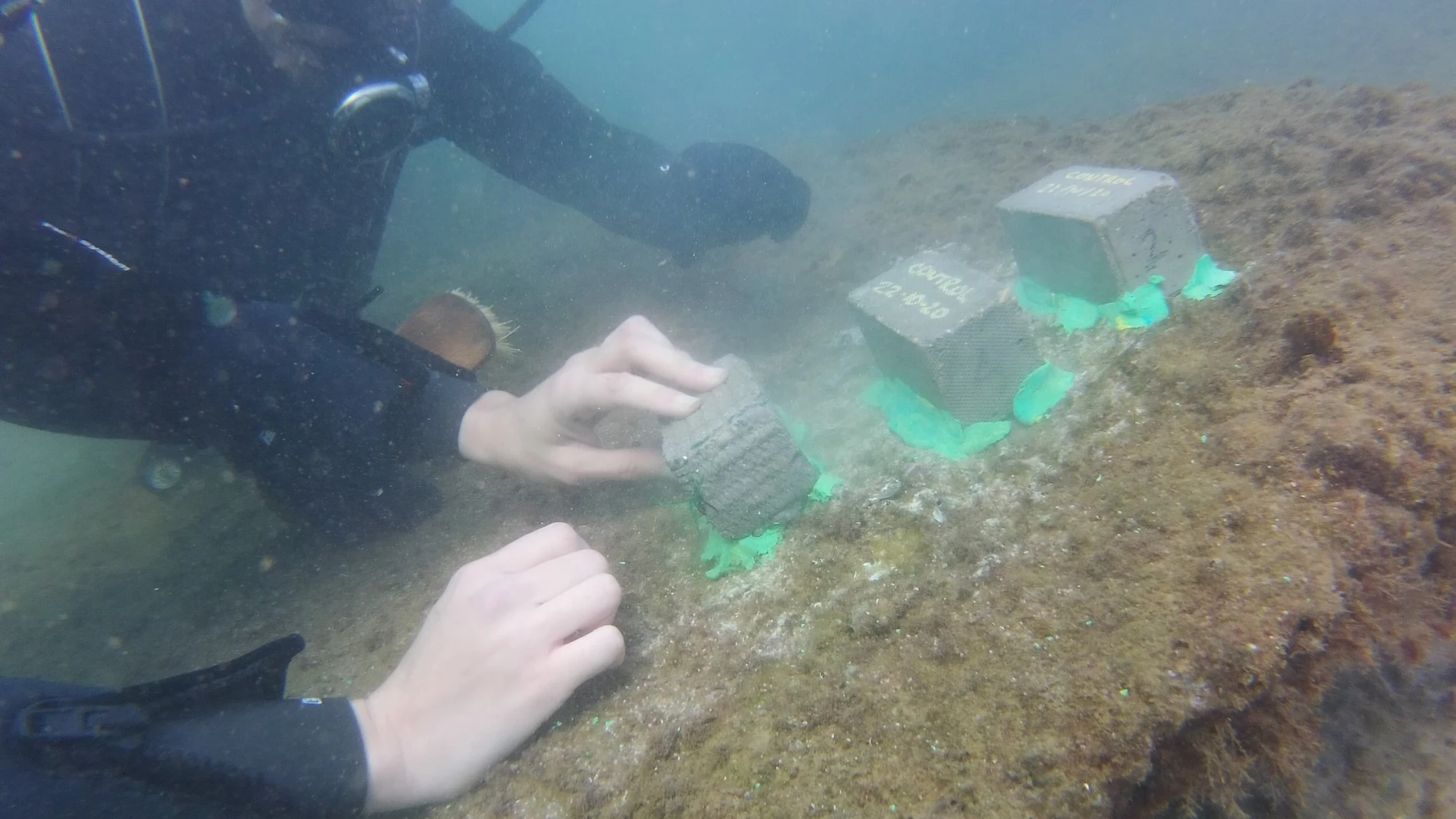 Ivace+i desarrolla diques de hormigón sostenible fabricados con ceniza del volcán de La Palma y restos de paja del arroz GVA 08/06/2024