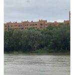 Captura del vídeo del salvamento de una mujer que se había tirado al río Ebro