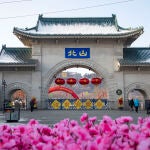 China Cornell Instructors Attacked
