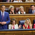 Pleno del Congreso. Sesión de control al gobierno