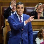 Pedro Sánchez en el Congreso