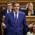 Pleno del Congreso. Sesión de control al gobierno