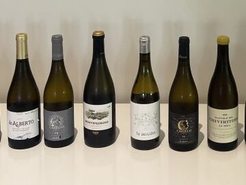 Algunos de los vinos blancos fermentados en barrica de la DO Rueda y Vinos de la Tierra de Castilla y Le&oacute;n catados