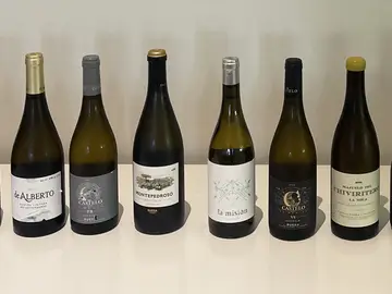 Algunos de los vinos blancos fermentados en barrica de la DO Rueda y Vinos de la Tierra de Castilla y León catados Algunos de los vinos blancos fermentados en barrica de la DO Rueda y Vinos de la Tierra de Castilla y León catados
