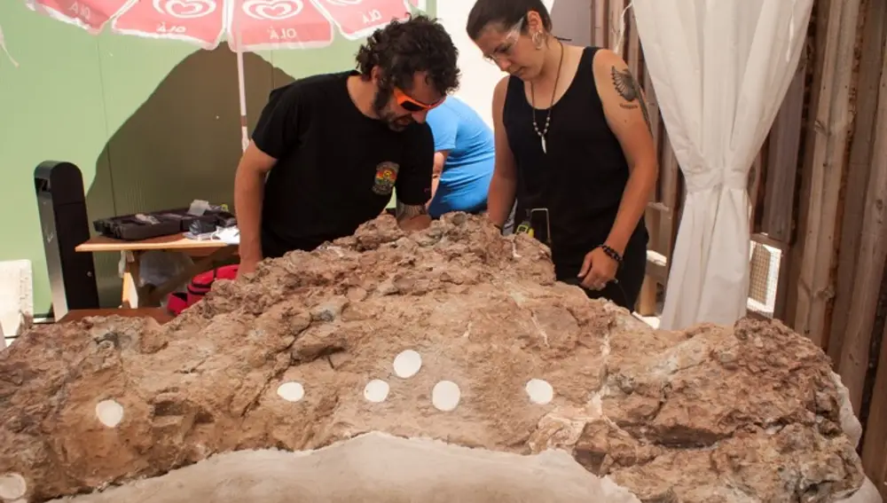 Lope Ezquerro y Carmen Nuñez-Lahuerta examinan uno de los bloques de la puesta de huevos