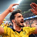 German footballer Mats Hummels