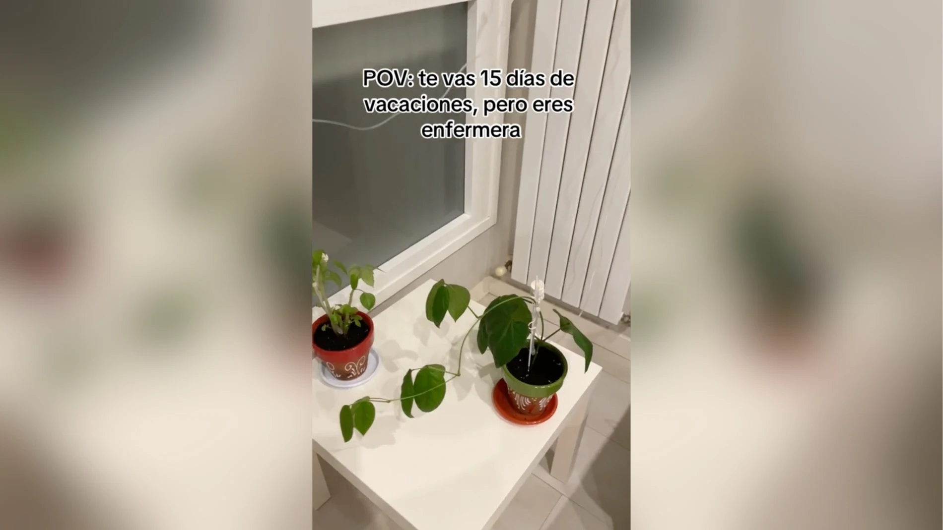 El ingenioso método de una enfermera para regar las plantas durante las vacaciones