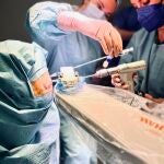 El Hospital del Mar realiza la "primera" intervención de cirugía láser para tratar con una ablación termal un gliobastoma en España