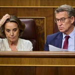 Pleno del Congreso de los Diputados. Asisten Pedro Sánchez, María Jesús Montero, Yolanda Diaz y Alberto Nuñez 