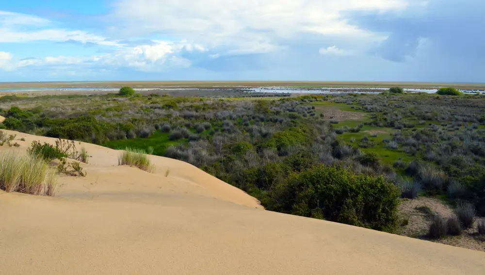 Parque nacional y natural de Doñana