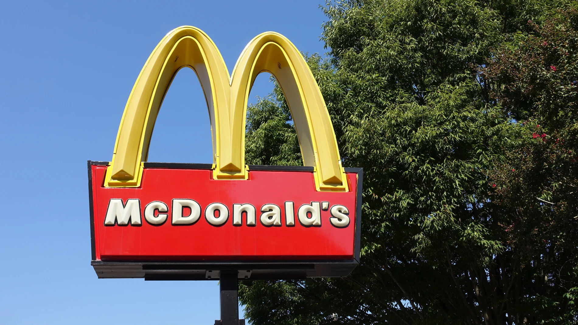 McDonalds es una de las cadenas de comida rápida más famosas y cuenta con una amplia oferta gastronómica de hamburguesas, patatas fritas y otros productos diferentes en su menú