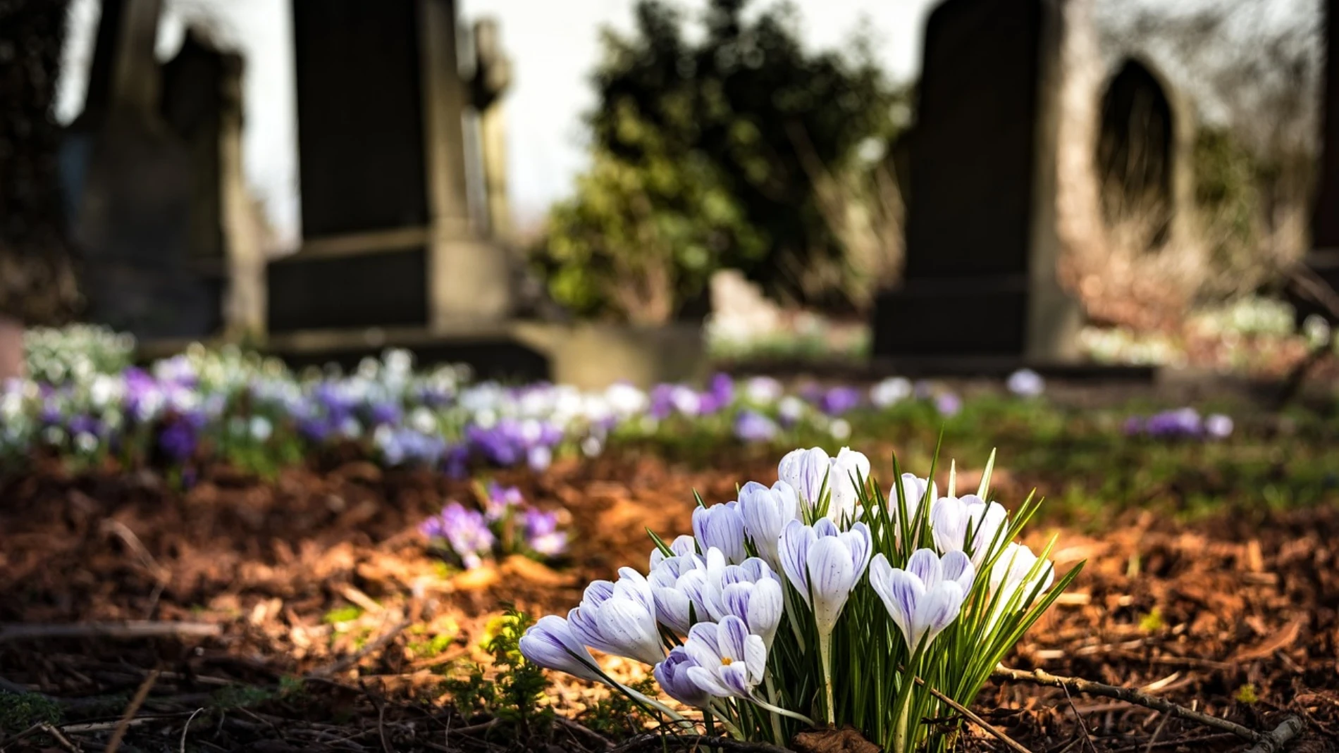 Ni cáncer ni accidentes de tráfico: esta es la primera causa de muerte en España