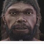 La reconstrucción en 3D del homo sapiens marroquí