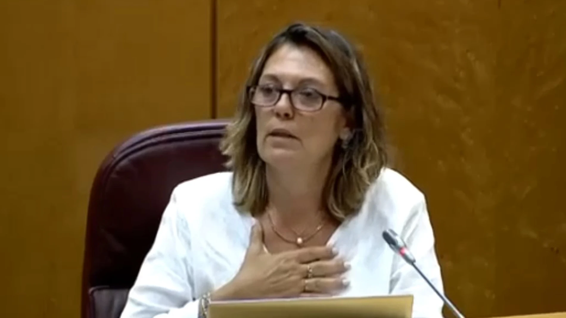 Mila Marcos interviene en la Comisión Mixta para la Unión Europea