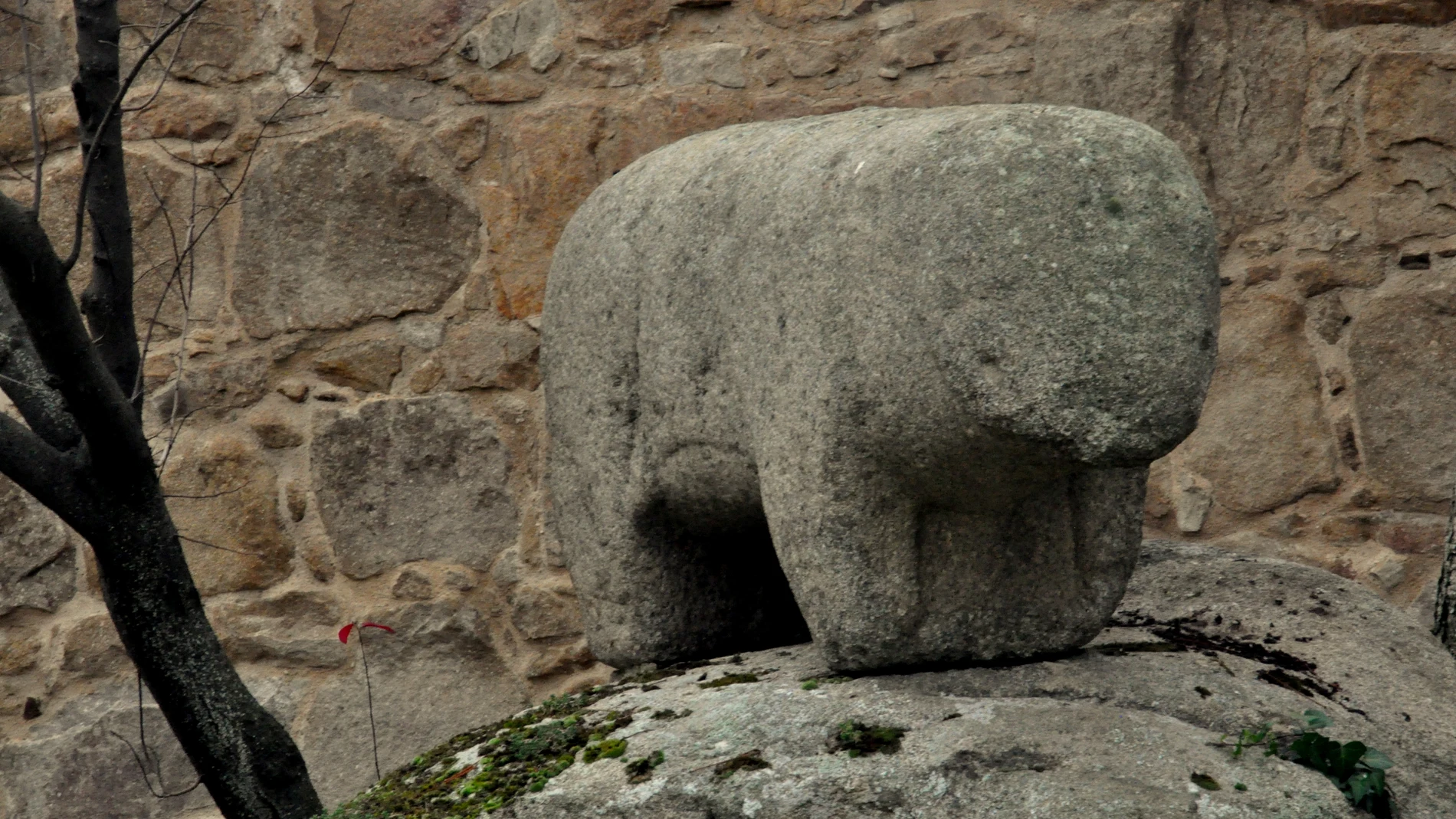 Verraco que representa un toro, actualmente situado en la ciudad de Ávila