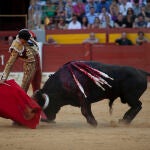 Les Fogueres de Sant Joan en Alicante 