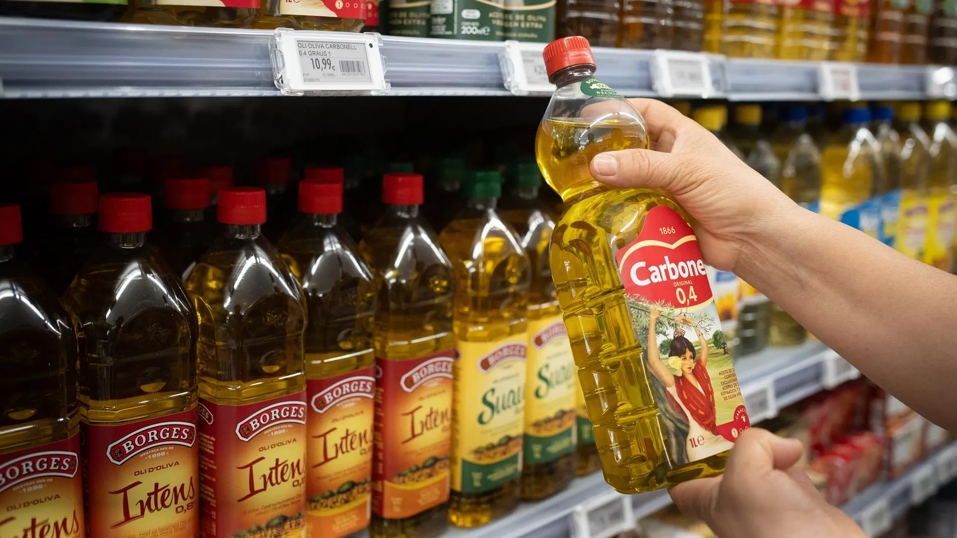 Economía.- El Gobierno aprobará mañana la supresión del IVA del aceite de oliva y la prórroga de la rebaja a alimentos