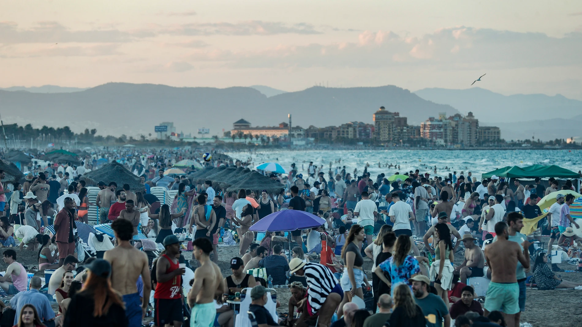 Este año, 140.000 personas se acercaron a las playas de Valencia