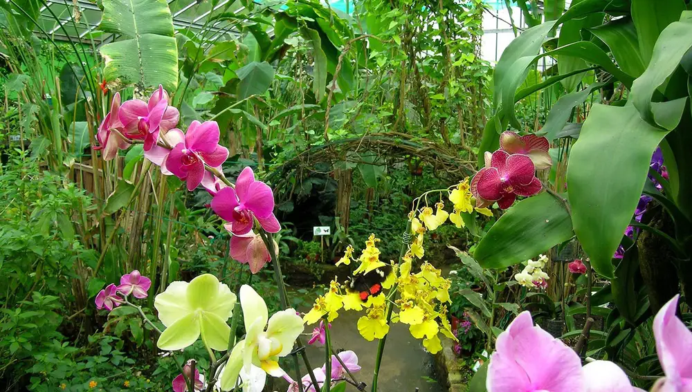 Jardín de las Mariposas