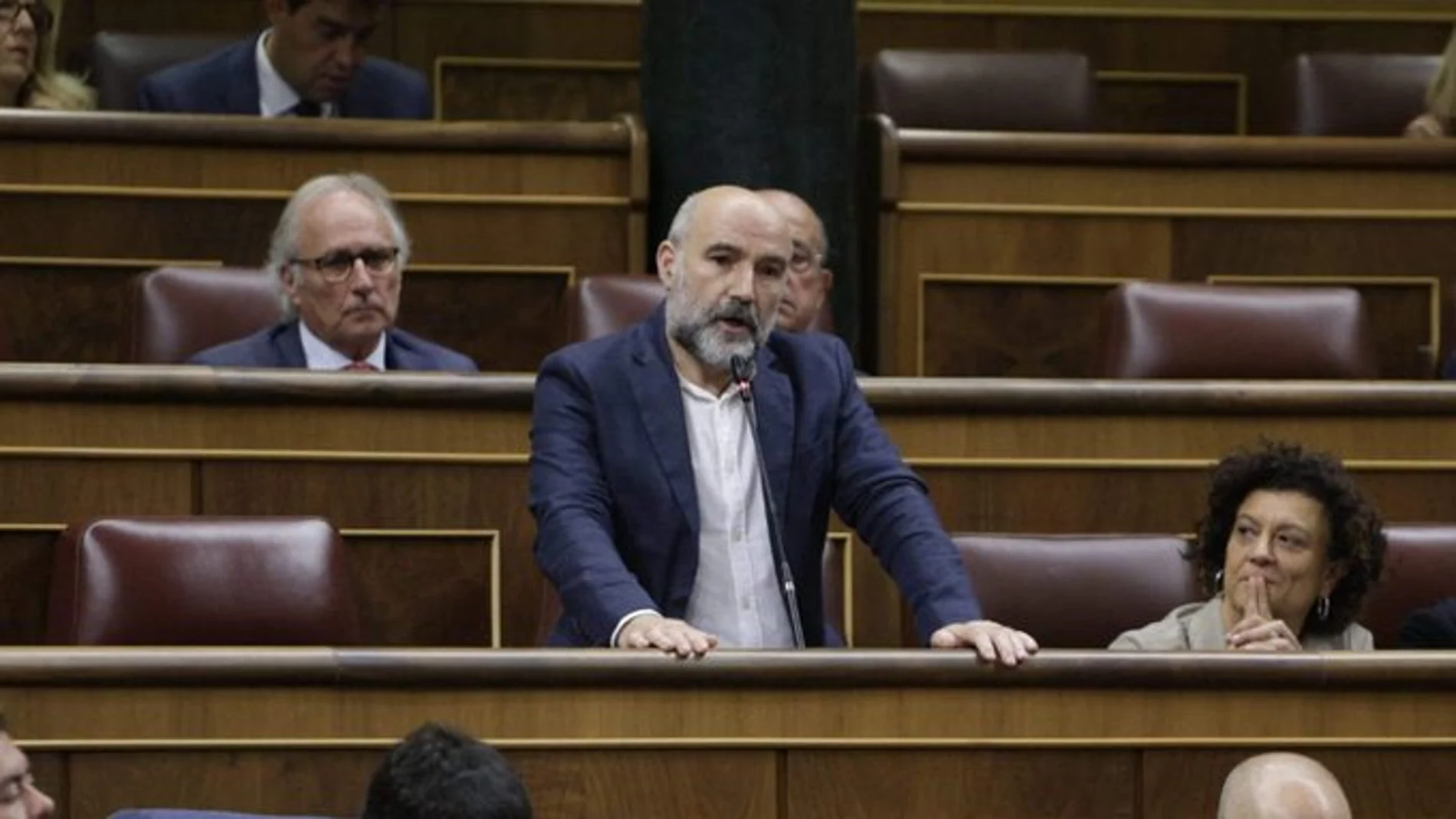 El nacionalista gallego Rego, hoy, en el Congreso.
