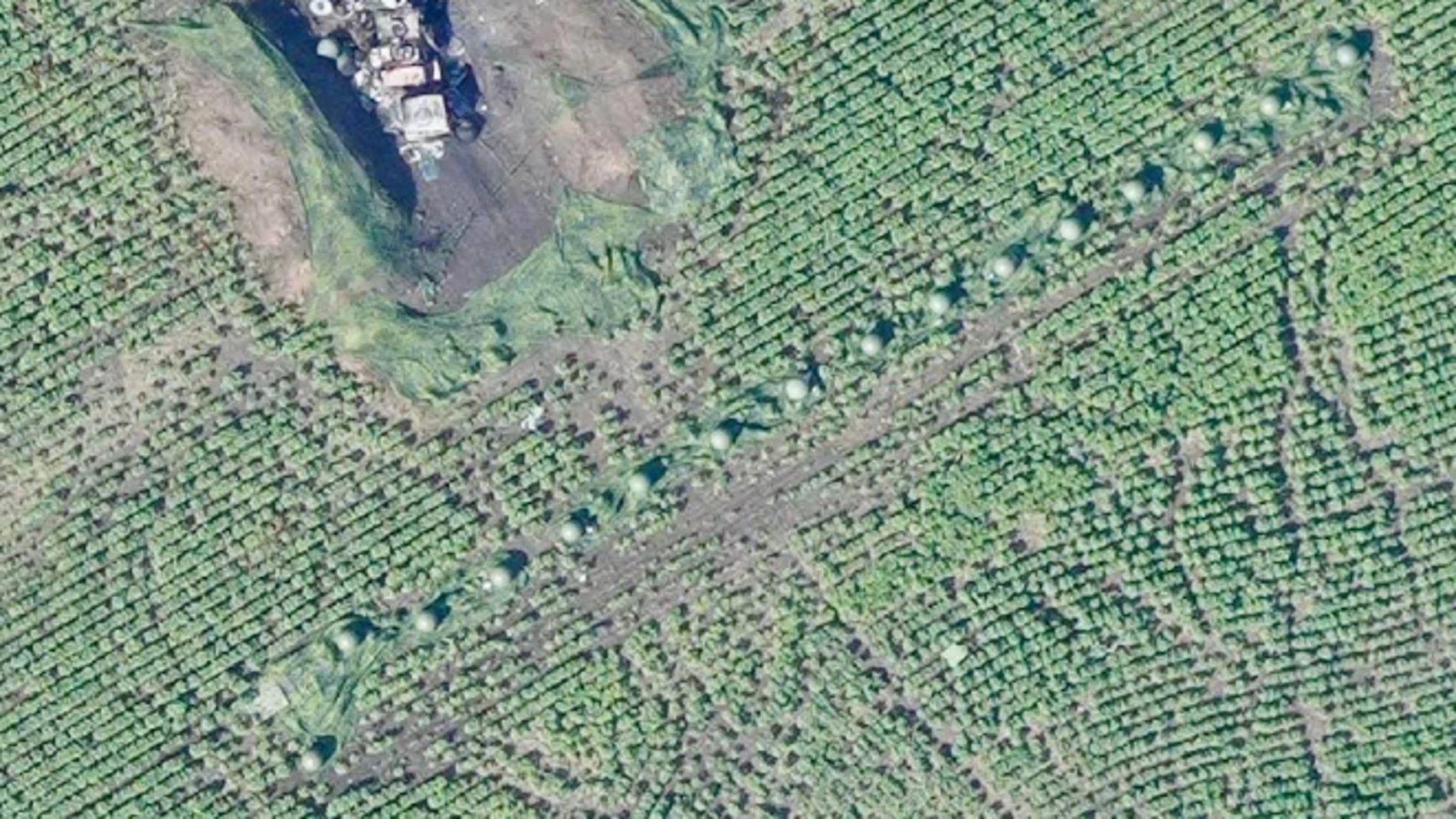 ¿Qué es la misteriosa hilera de esferas que ha aparecido en un campo ucraniano?