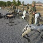 Los "robots asesinos" de China se presentan como una revolución en el carrera armamentistas, amén de drones, tanques o misiles hipersónicos