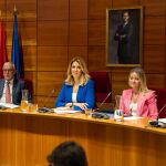 La alcaldesa de Pozuelo de Alarcón, Paloma Tejero, en el pleno municipal