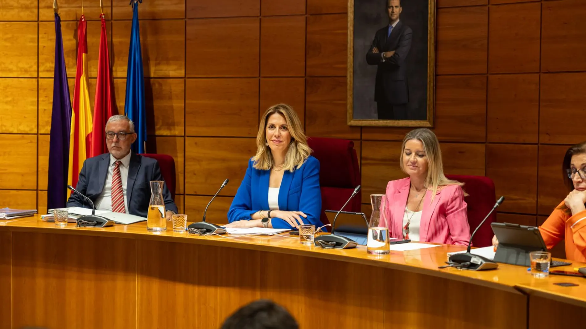 La alcaldesa de Pozuelo de Alarcón, Paloma Tejero, en el pleno municipal