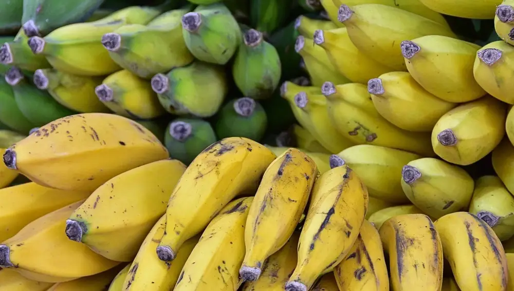 Plátano o banana: ¿qué opción es más saludable?
