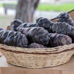 Mashua negra, el alimento conocido como "oro negro"