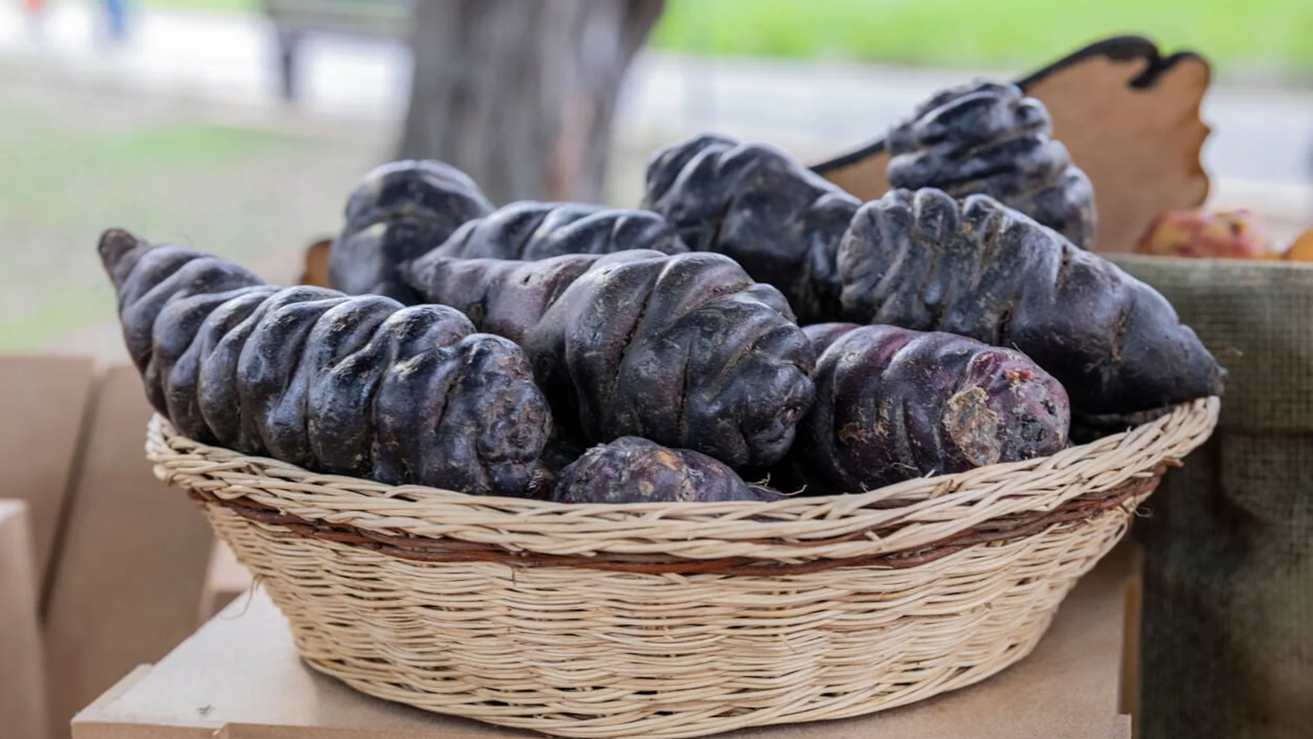 Mashua negra, el alimento conocido como "oro negro"