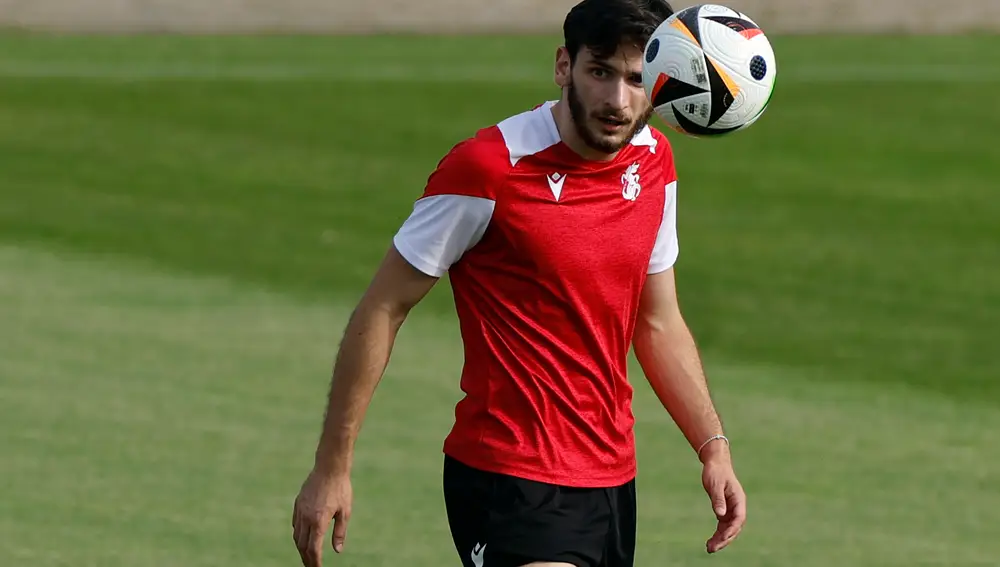 Entrenamiento de Georgia
