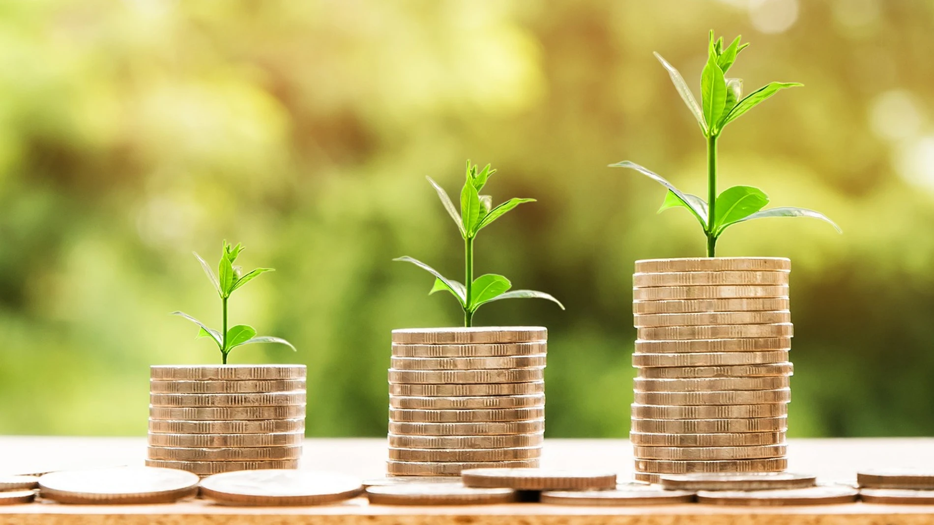 Dinero en función de la clase social