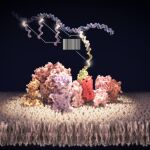 Representación de los nanorobots hechos con ADN por el Instituto Karolinska