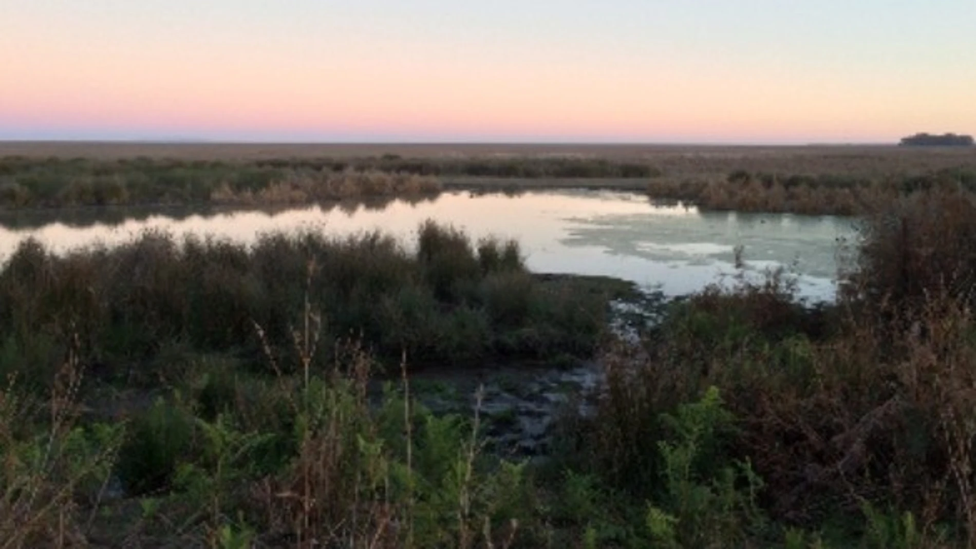 Laguna en Doñana