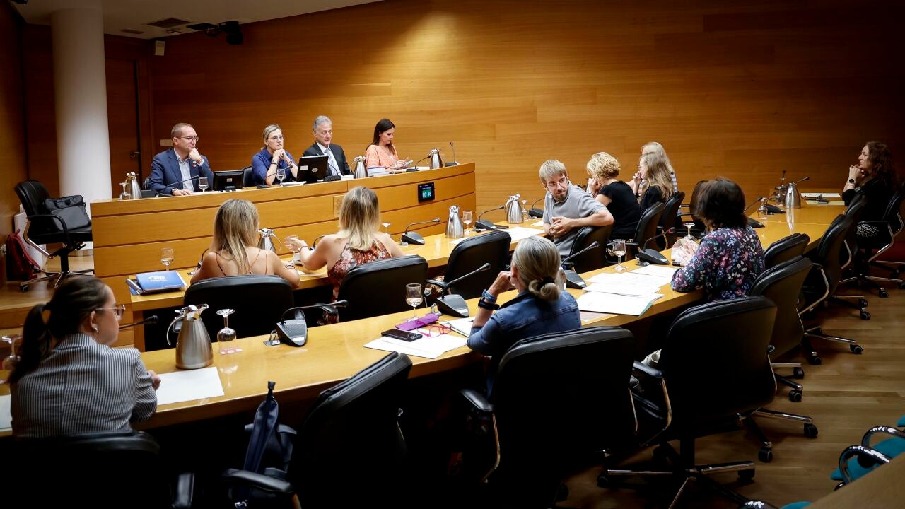 PP y Vox rechazan en Les Corts declarar el 31 de marzo "Día de la ...