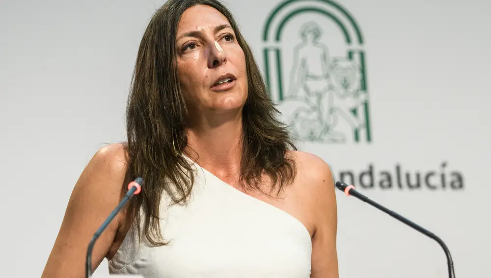 Consejo de Gobierno de la Junta de Andalucía