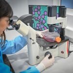 Los Institutos Tecnológicos atraen 156 millones de euros a la Comunidad Valenciana, un 8% más que en 2022